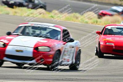 media/May-04-2025-Lucky Dog Racing (Sun) [[21629467aa]]/Turn 4 (10-1045am)/Front/